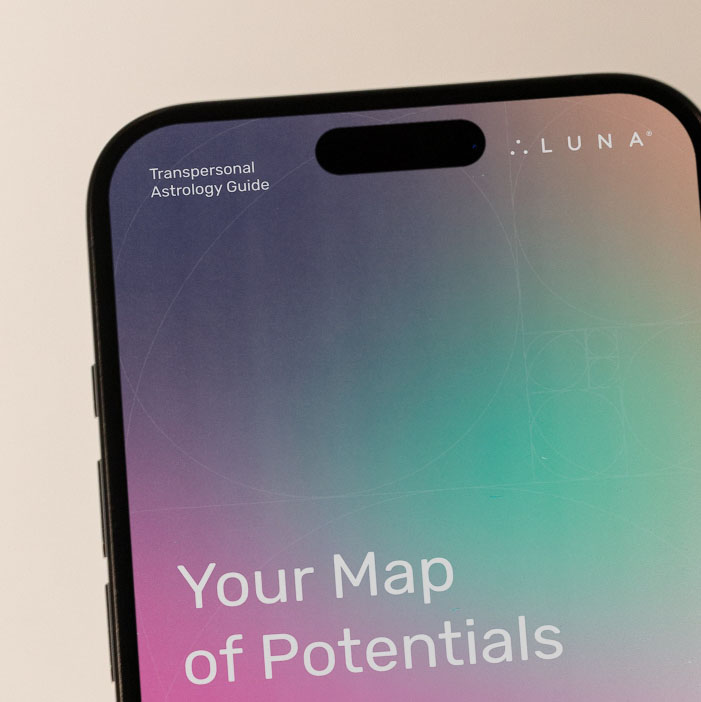 Your Map of Potentials displayed on a smartphone.